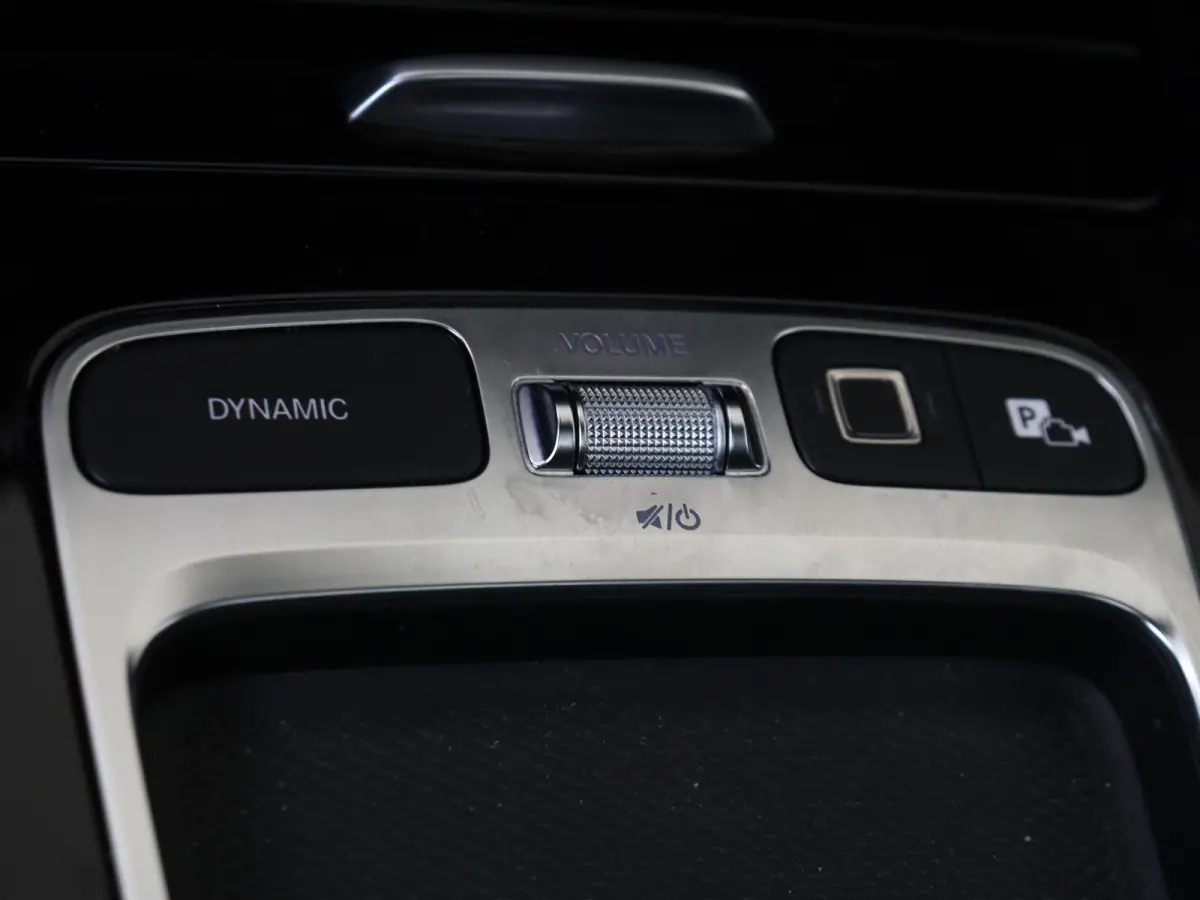 250+ AMG Line 71 kWh / Panoramadak