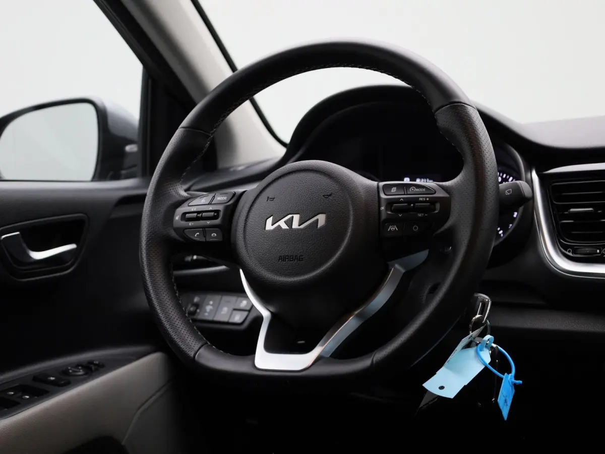 1.0 T 100 Inspire | AUTOMAAT | CARPLAY | LM VELGEN | CLIMATE CONTROL | CAMERA