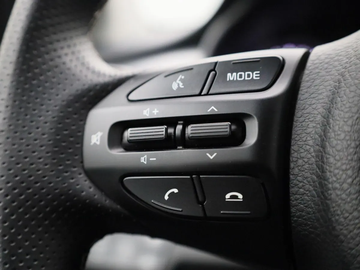 1.0 T 100 Inspire | AUTOMAAT | CARPLAY | LM VELGEN | CLIMATE CONTROL | CAMERA