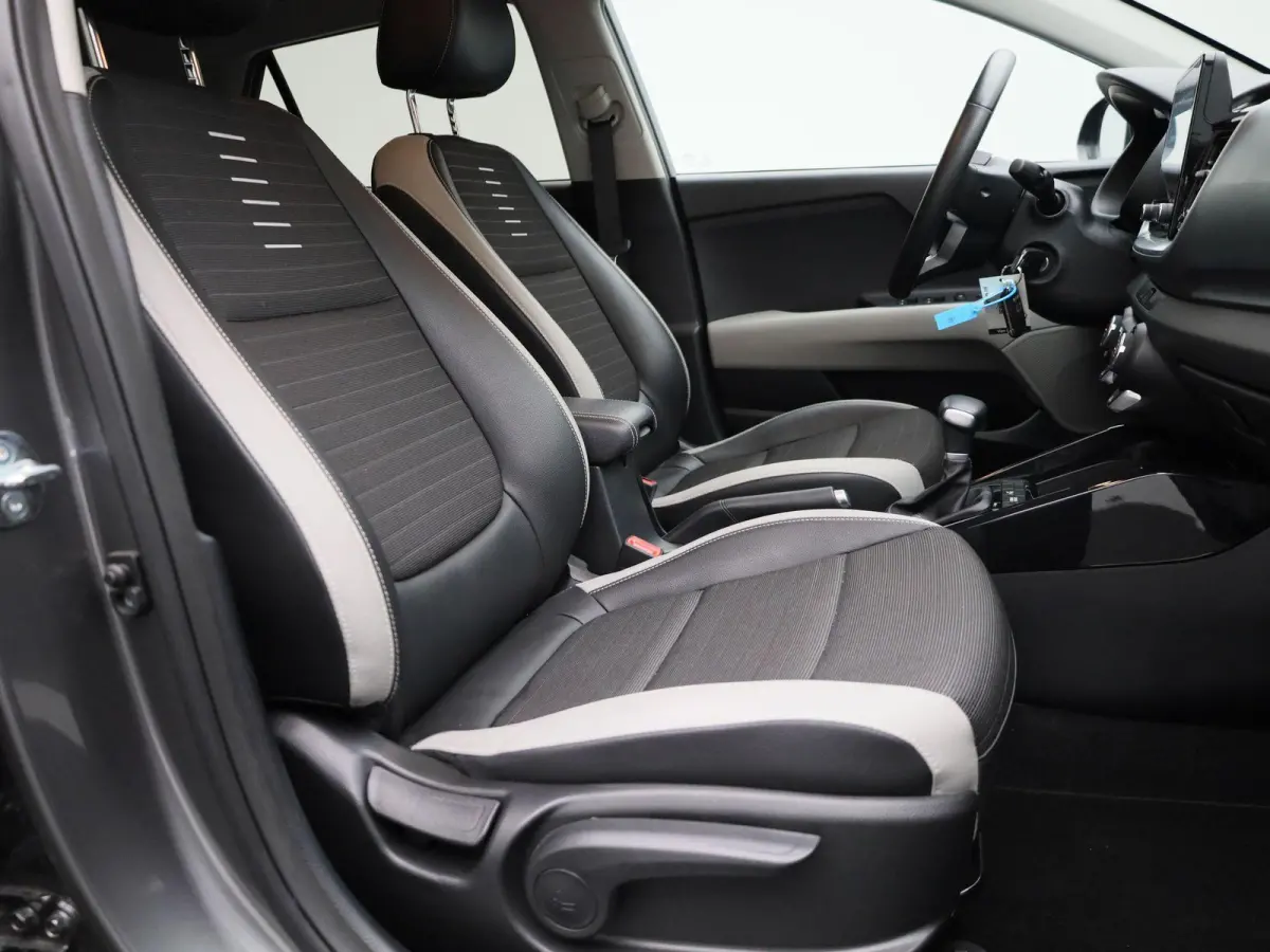 1.0 T 100 Inspire | AUTOMAAT | CARPLAY | LM VELGEN | CLIMATE CONTROL | CAMERA