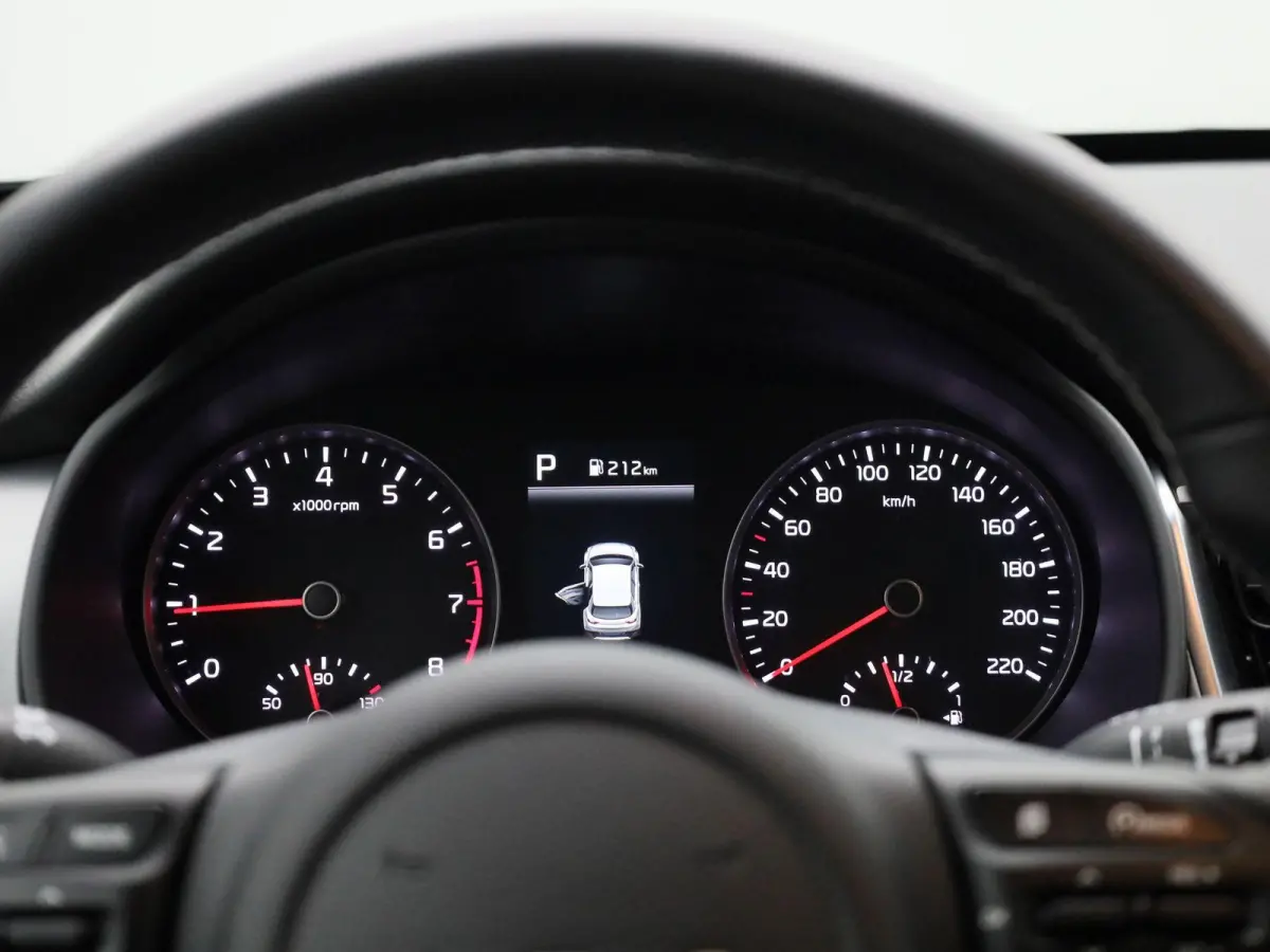 1.0 T 100 Inspire | AUTOMAAT | CARPLAY | LM VELGEN | CLIMATE CONTROL | CAMERA
