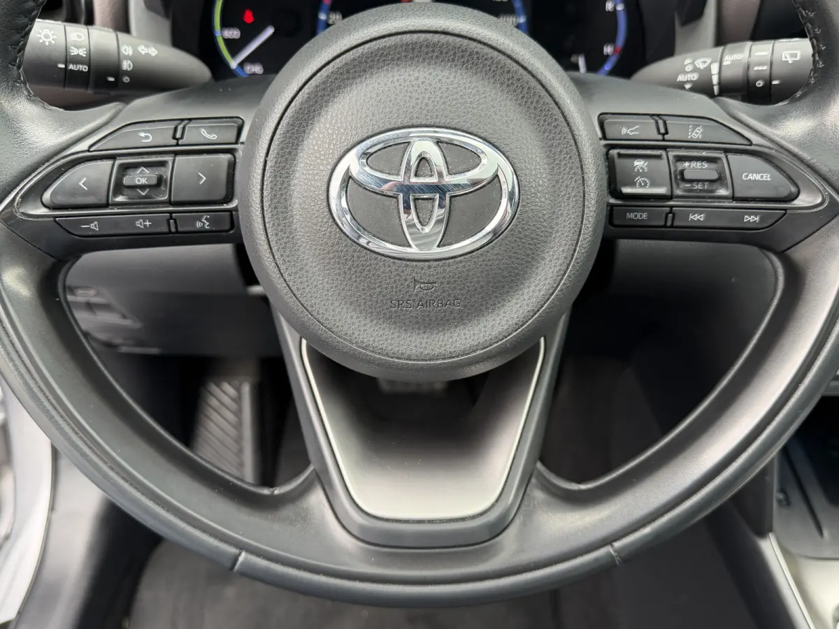 1.5 Hybrid Executive / Bi tone AWD | Afnm. Trekhaak | Pano dak | JBL | 10jr GARANTIE | Rijklaar!!!