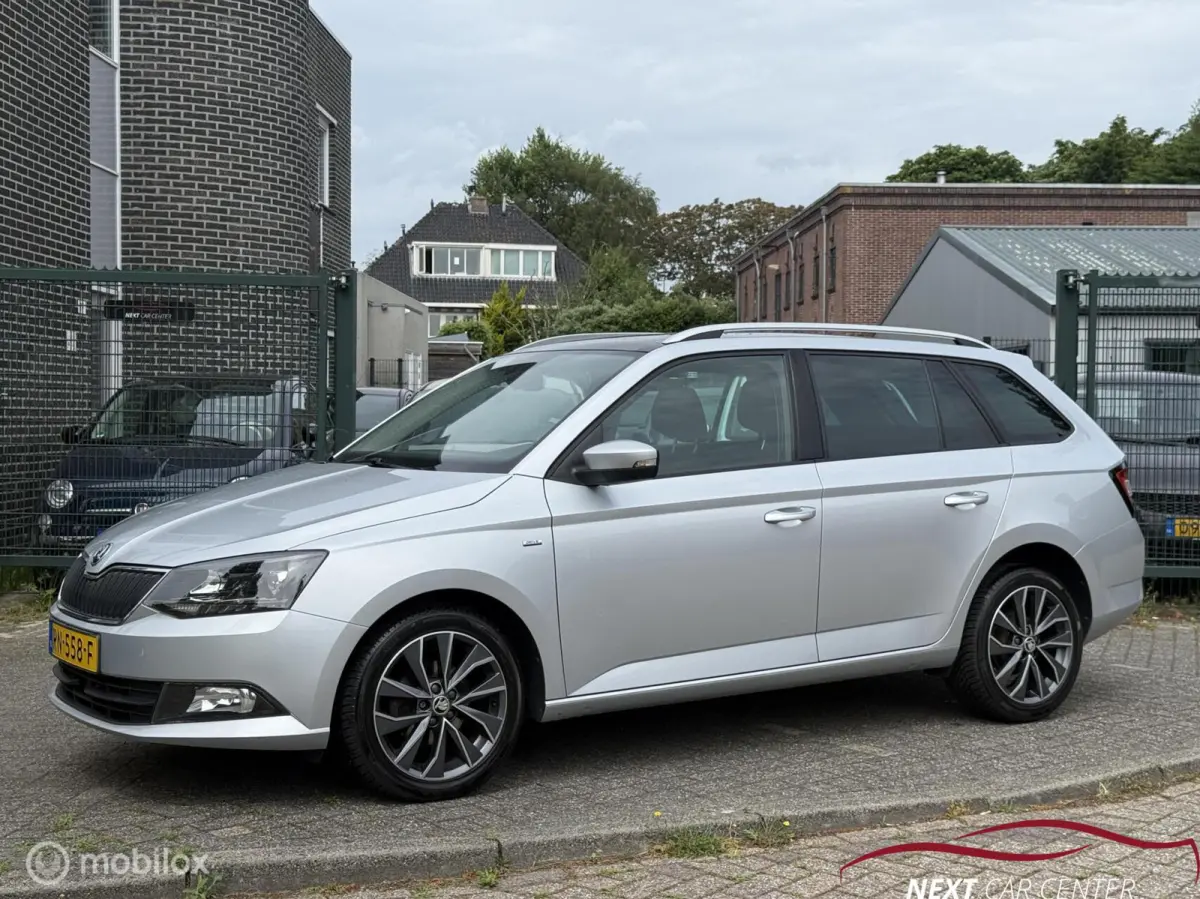 1.0 TSI Drive Panoramadak / Carplay
