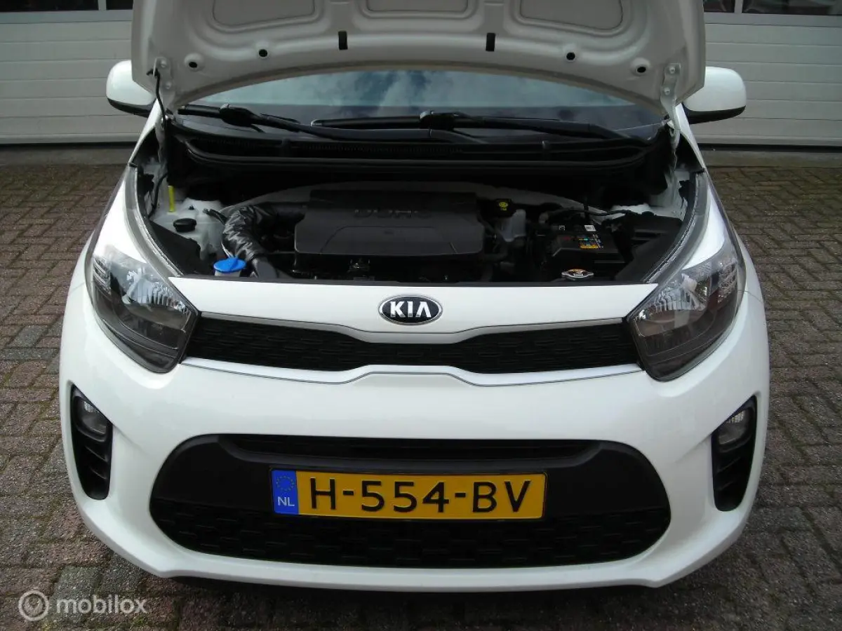 1.0 MPi DynamicLine