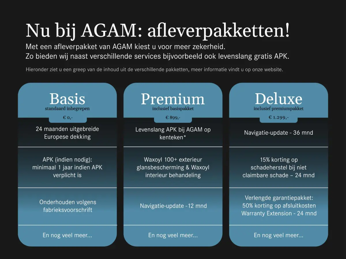 300 e Business Solution AMG Panorama dak | Trekhaak