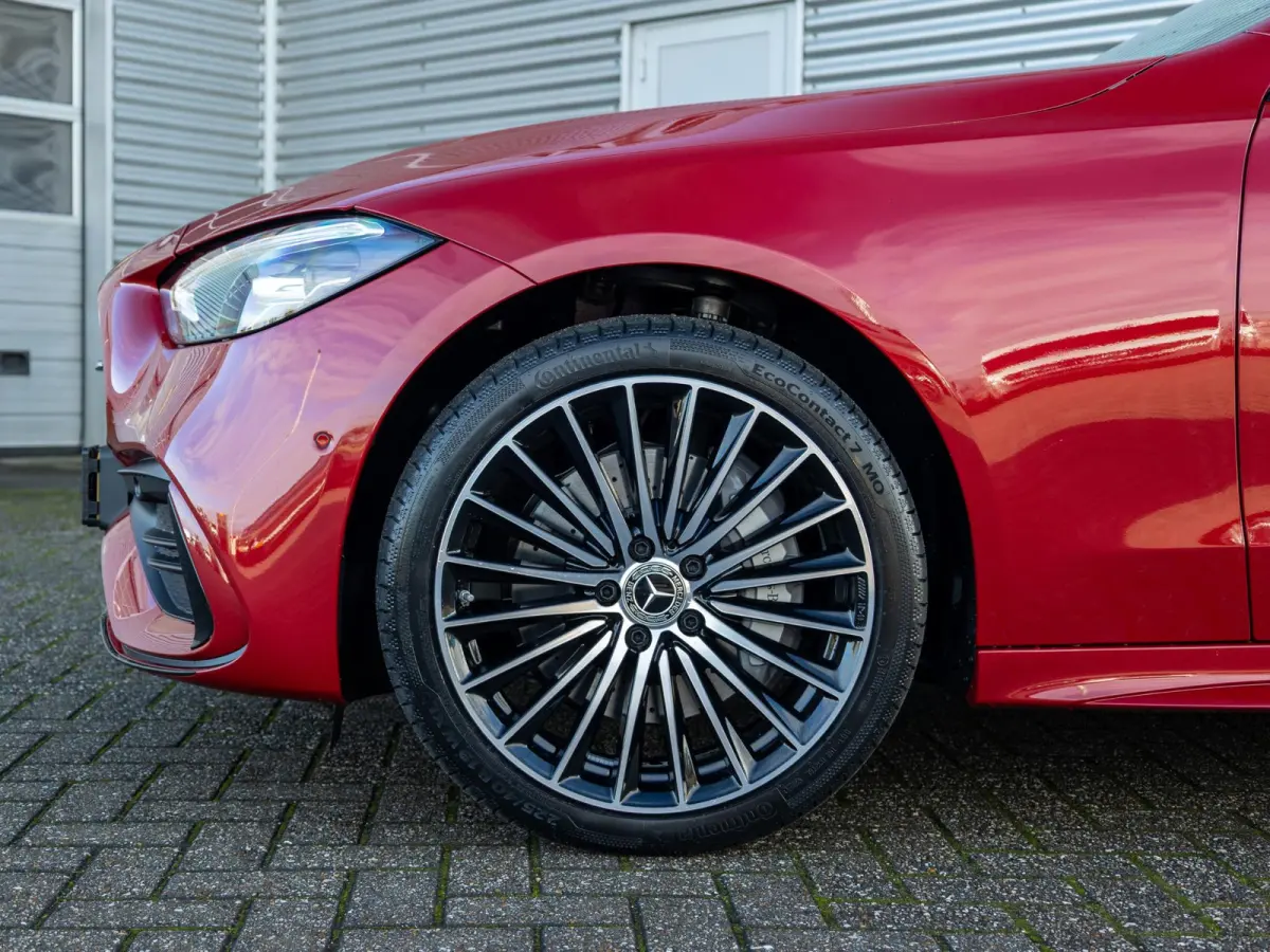 300 e Business Solution AMG Panorama dak | Trekhaak