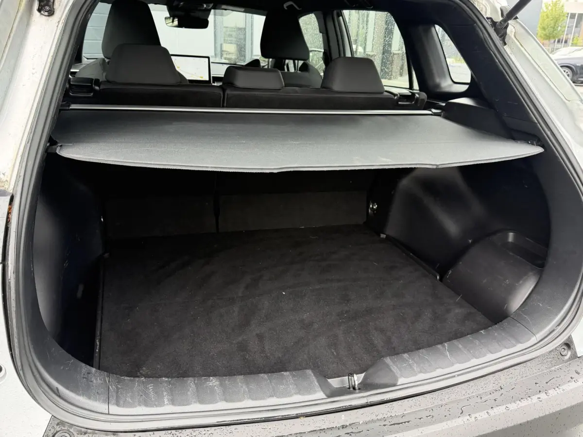 2.0 High Power Hybrid First Edition Limited