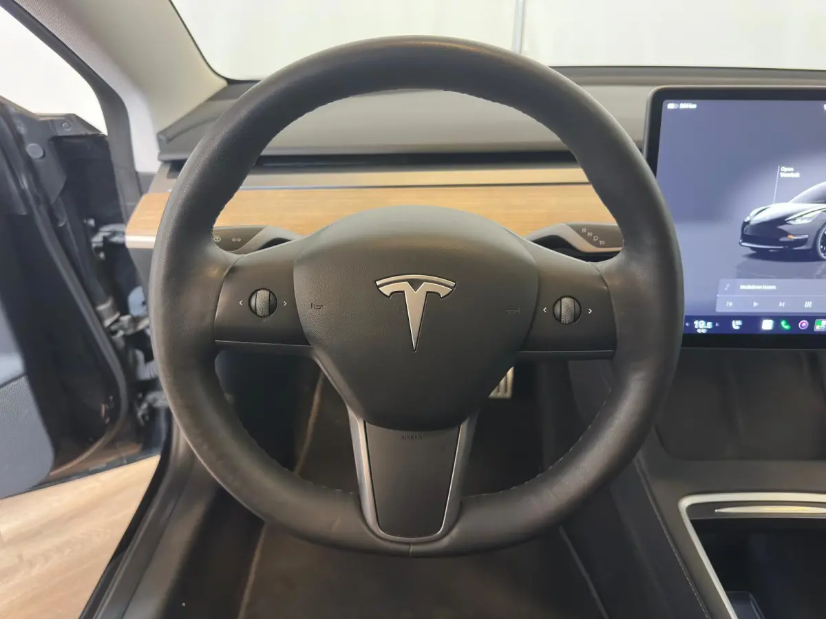 Performance AWD 75 kWh|INCL BTW|AUTOPILOT|