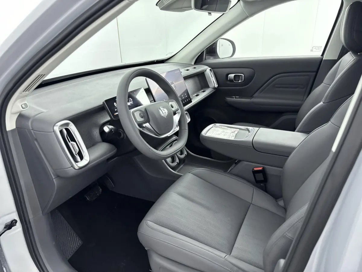Design EV 18.8 kWh REEV | Navigatie | Camera | Carplay | Stoel/Stuur Verwarming