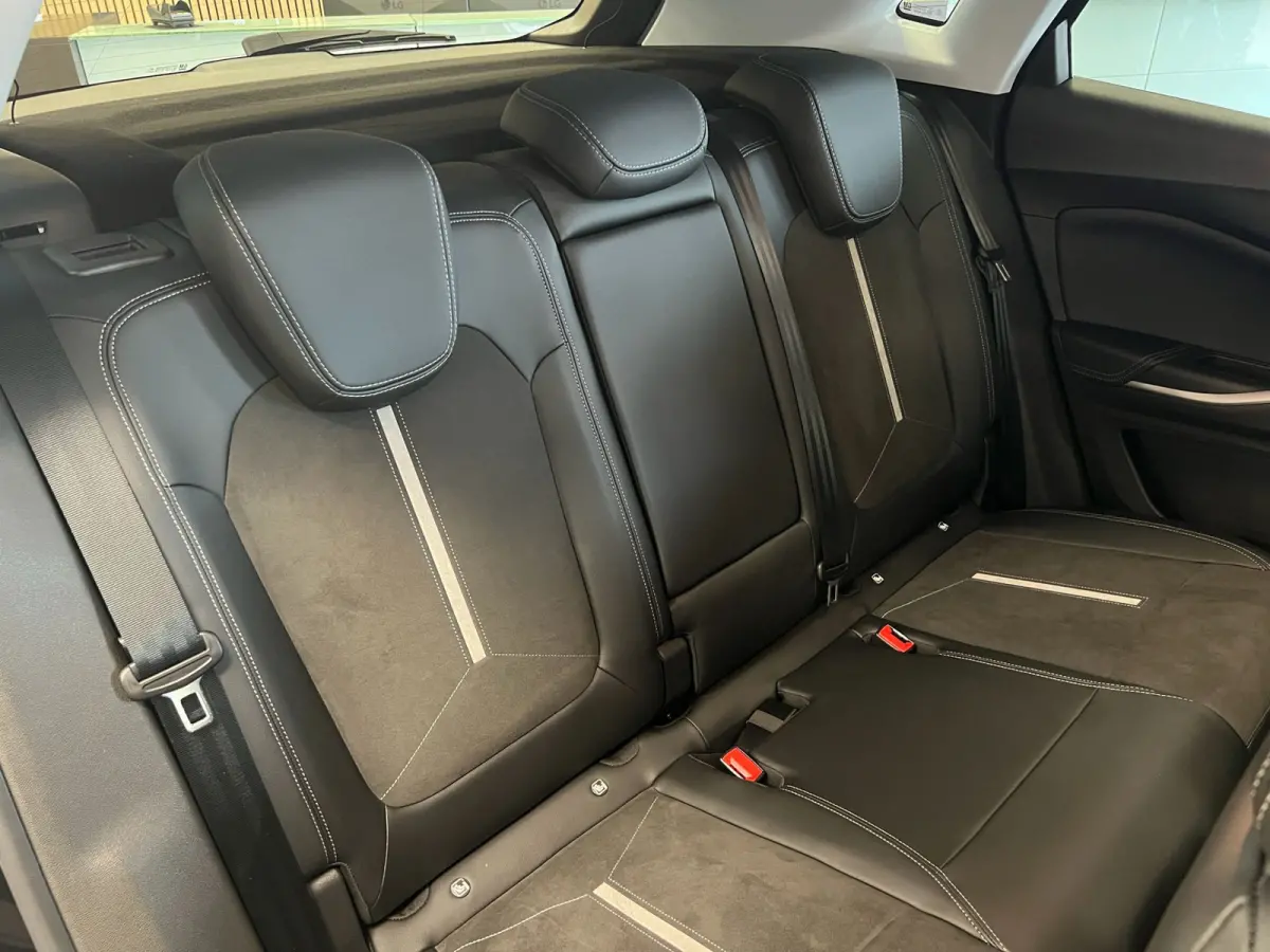 1.6 Turbo Plug-In Hybrid 4x4 GSe / 300PK / Alcantara /