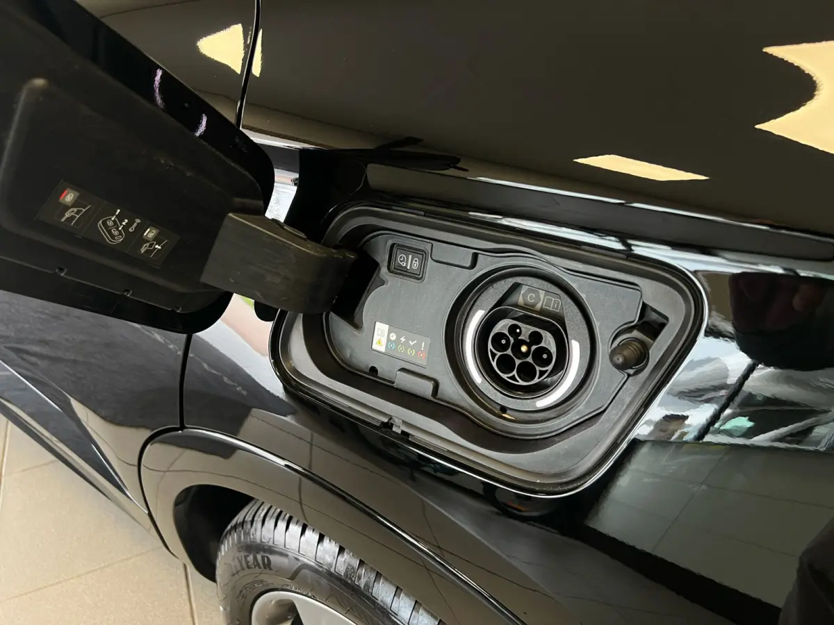 1.6 Turbo Plug-In Hybrid 4x4 GSe / 300PK / Alcantara /
