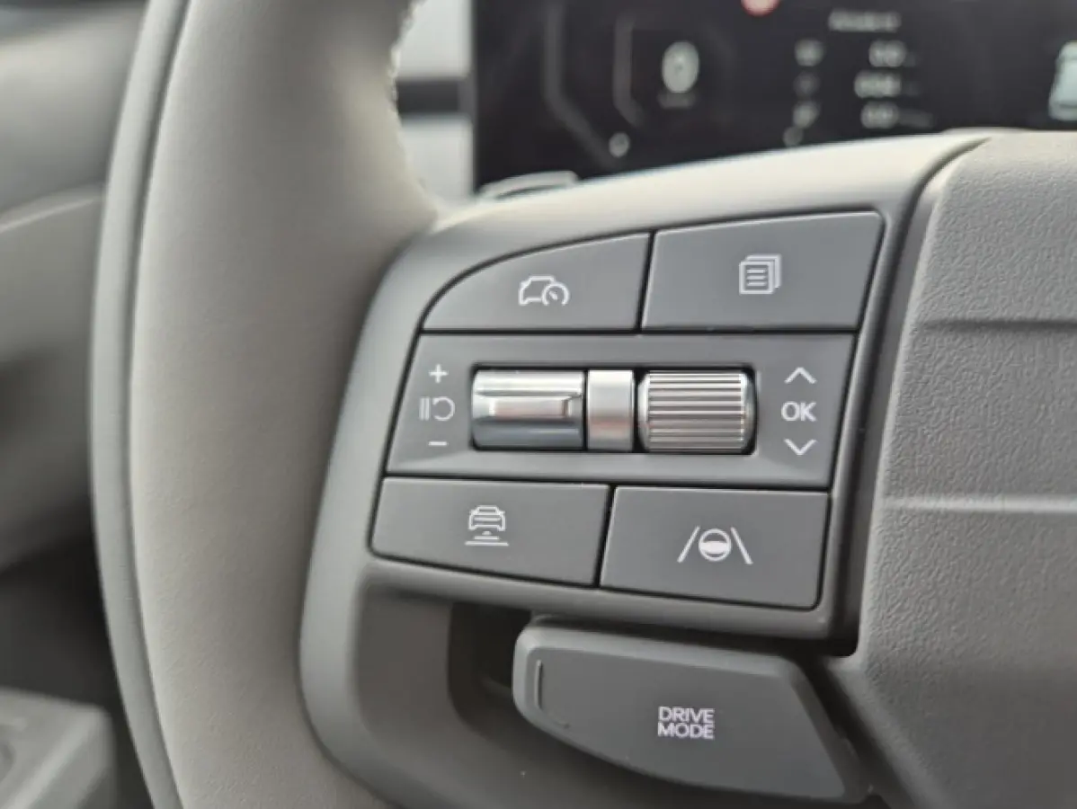 Plus Advanced 58.3 kWh | Informeer naar beschikbaarheid | NU €3.795 inruilvoordeel! | 414km actieradius