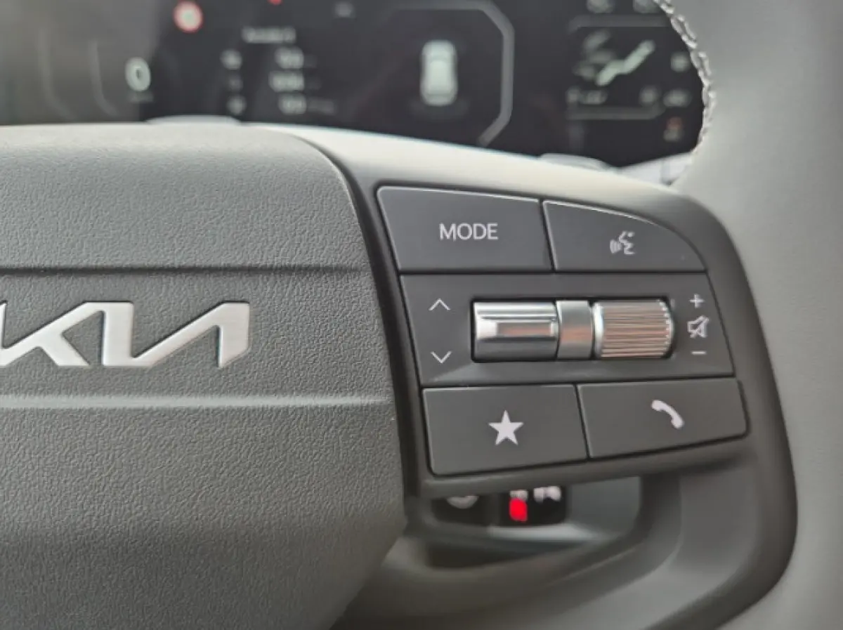 Plus Advanced 58.3 kWh | Informeer naar beschikbaarheid | NU €3.795 inruilvoordeel! | 414km actieradius