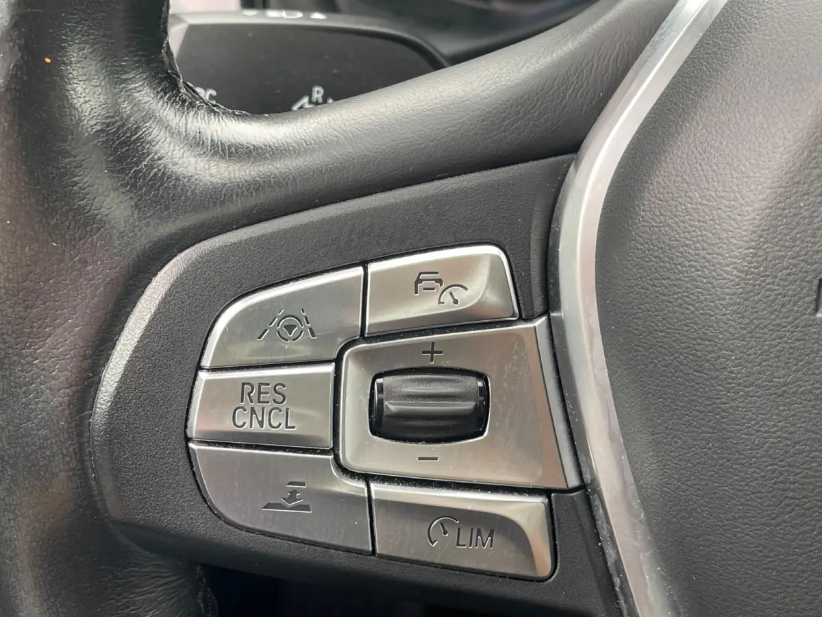 XDrive20i High Executive Automaat Panorama