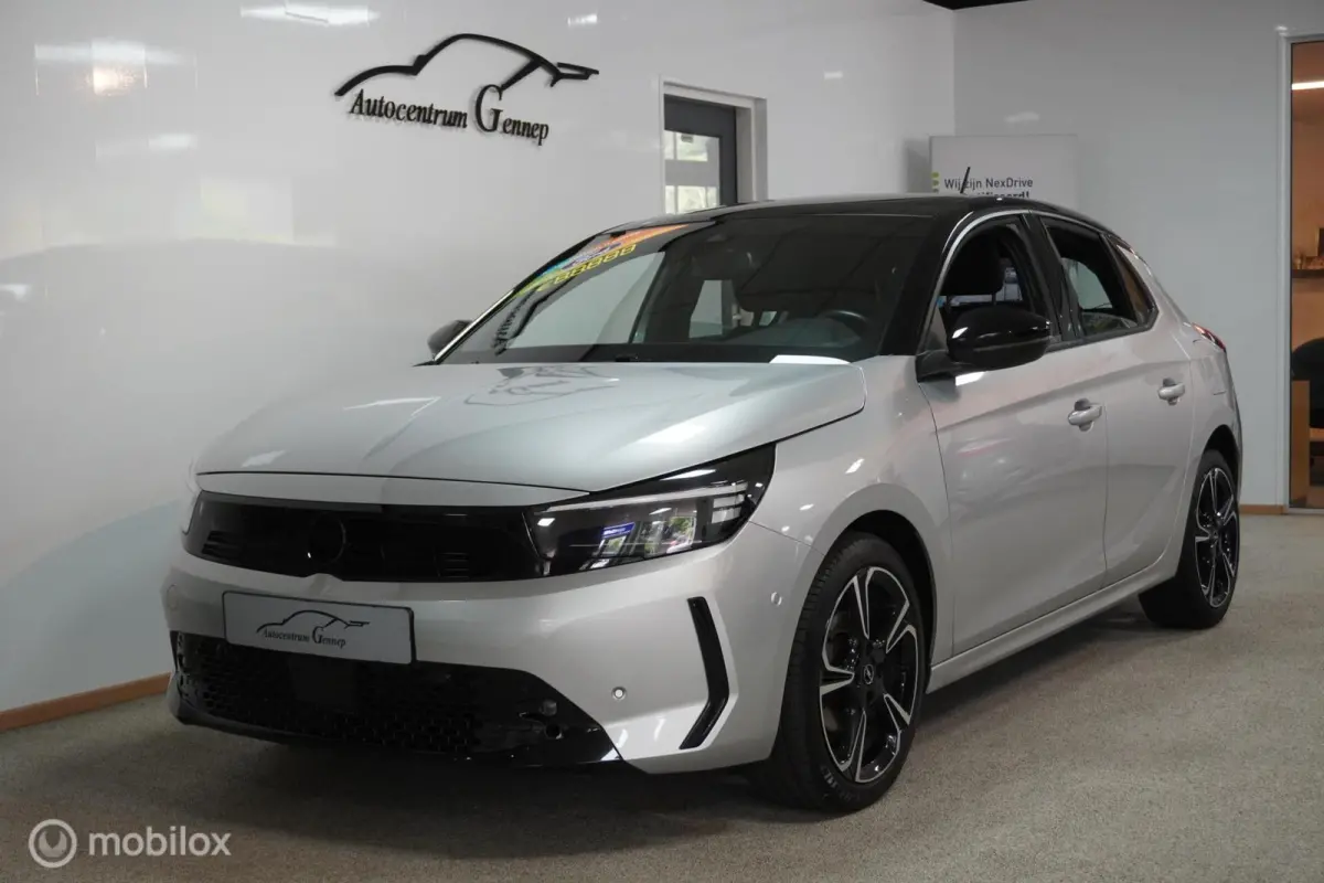 1.2 GS SPORT | 17'' | PANO DAK |