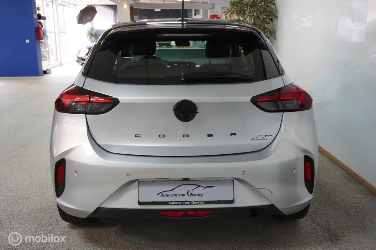 1.2 GS SPORT | 17'' | PANO DAK |