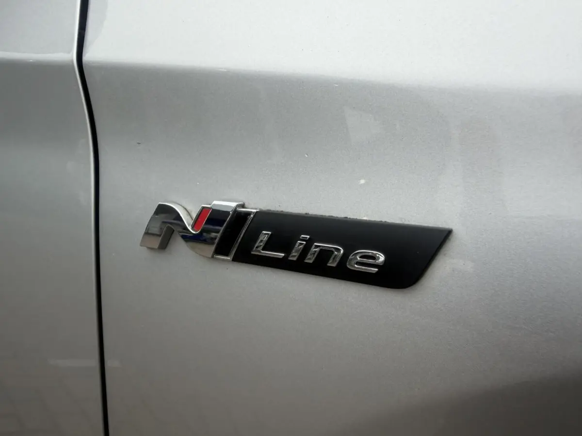 1.6 T-GDI N-Line 2020 Lerder/Alcant 11210km