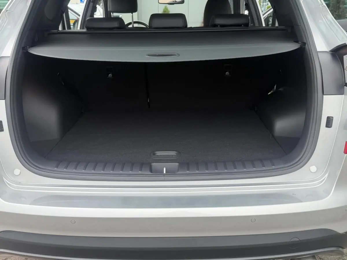 1.6 T-GDI N-Line 2020 Lerder/Alcant 11210km