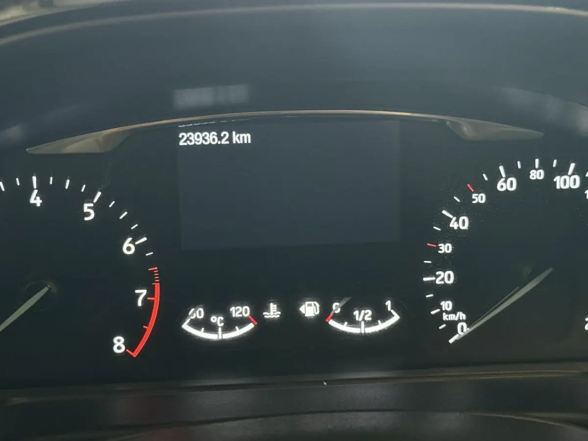 1.0 EcoBoost Titanium | Full options | B&O soundsysteem