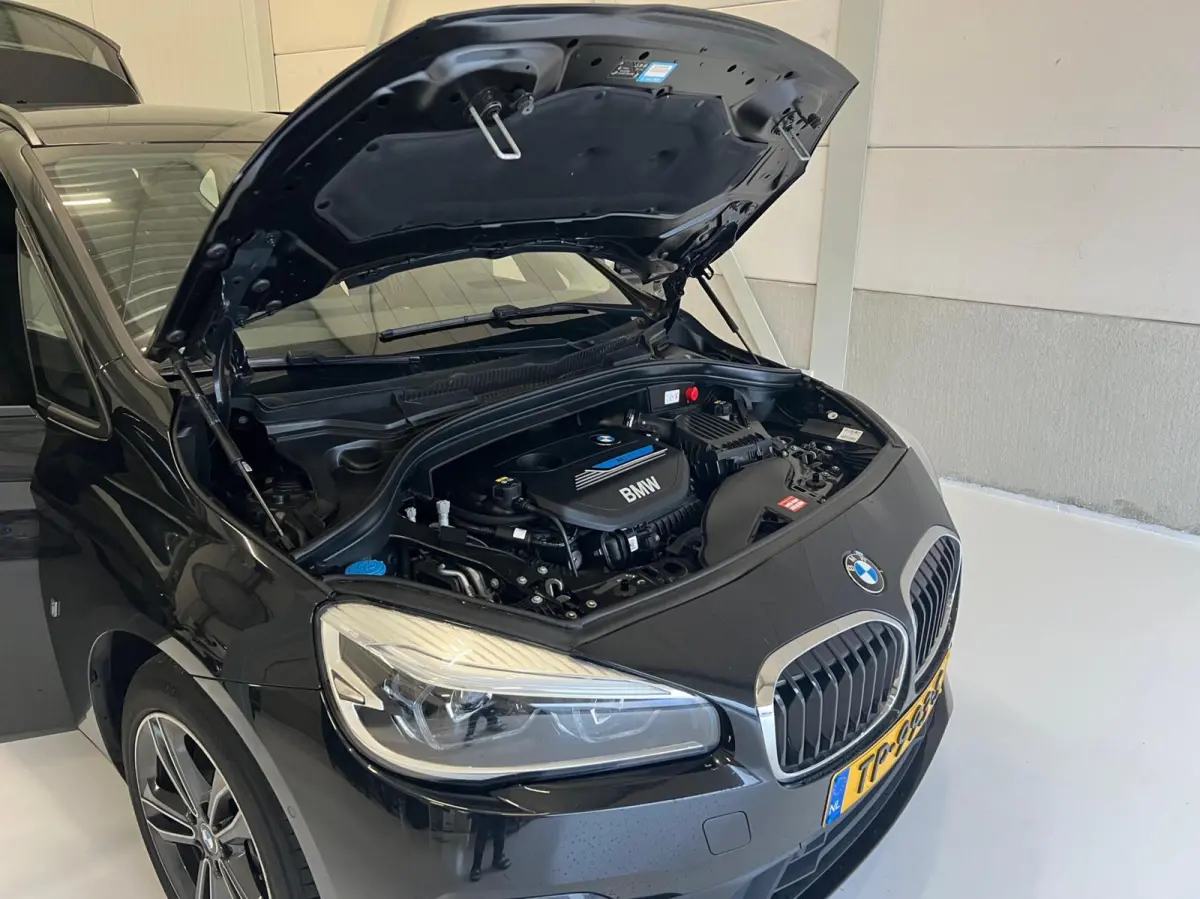 225xe High Executive NAP