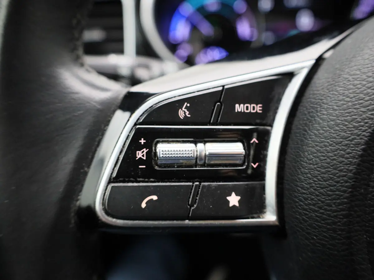 1.6 GDi PHEV DCT Business Line | Apple Carplay / Android Auto | Achteruitrijcamera | Parkeersensoren | Lichtmetalen Velgen |