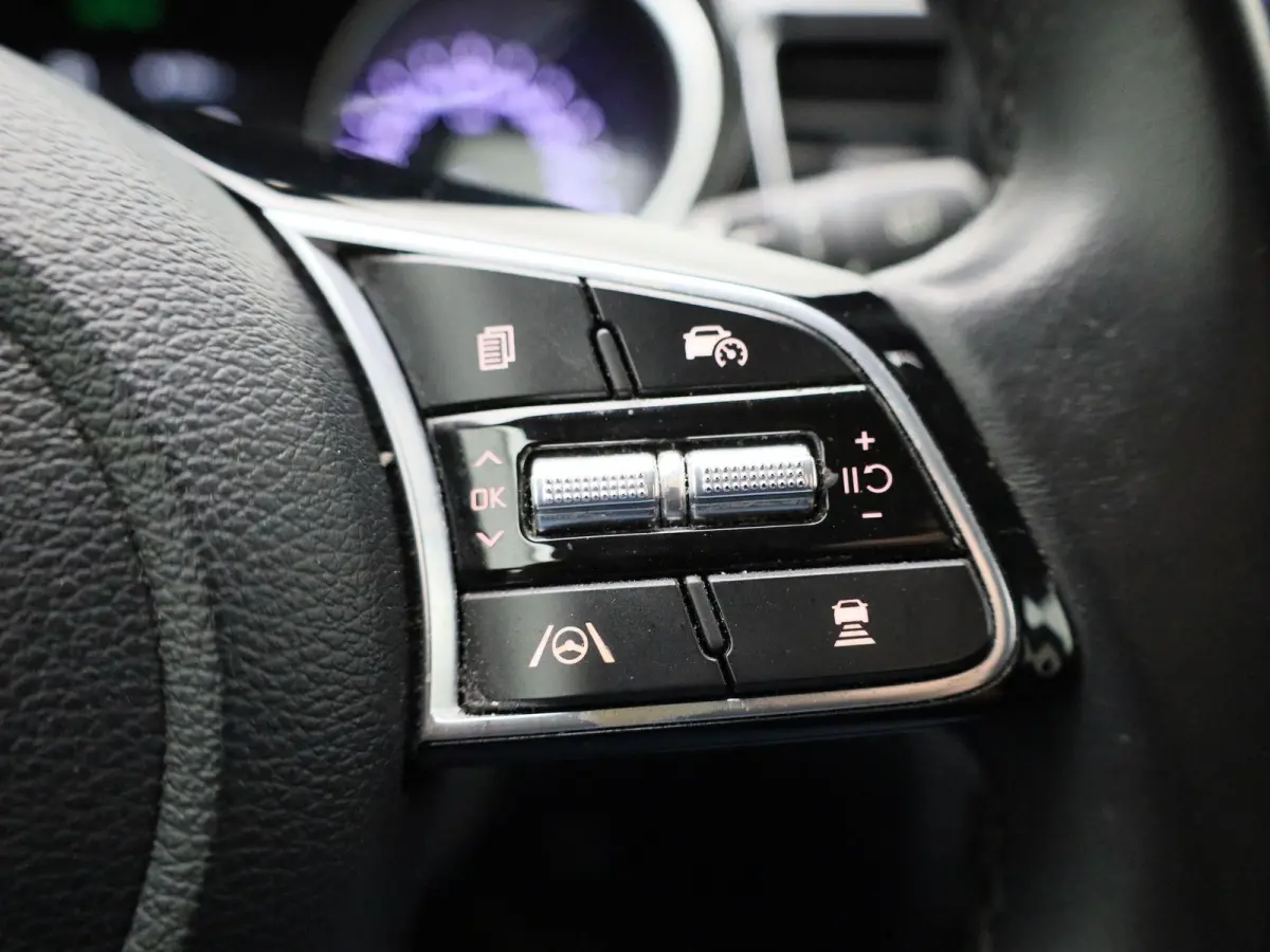 1.6 GDi PHEV DCT Business Line | Apple Carplay / Android Auto | Achteruitrijcamera | Parkeersensoren | Lichtmetalen Velgen |