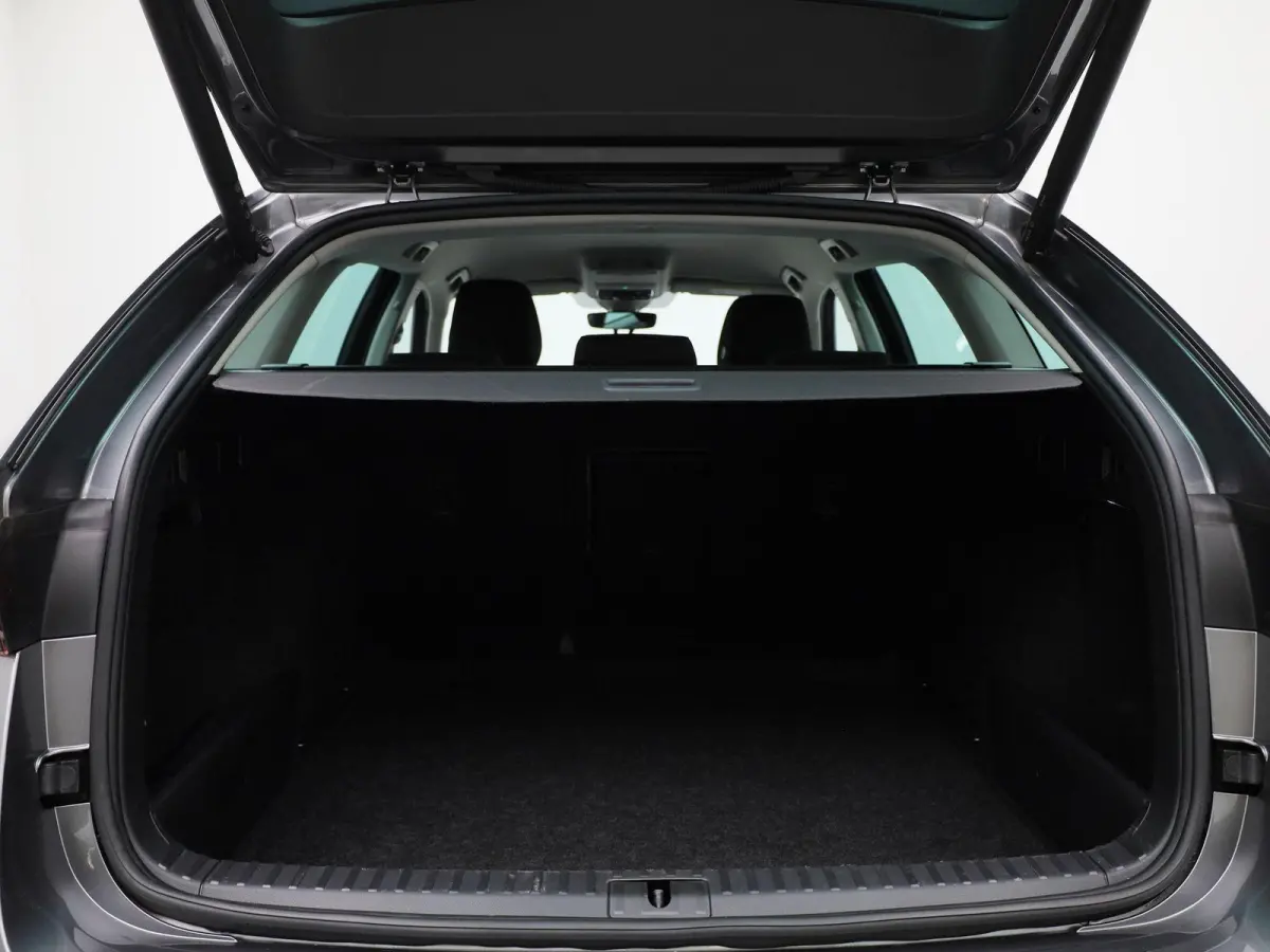 1.0 TSI Business Edition | Apple Carplay / Android Auto | Parkeersensoren | Lichtmetalen Velgen |