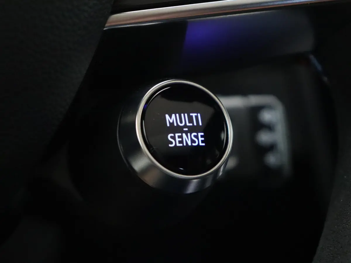 EV87 long range esprit Alpine | Vijf jaar garantie | Active driver assist | 360 graden camera | Blind spot |