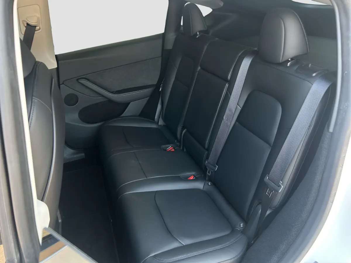 Long Range AWD 75 kWh | Org. NL | Auto Pilot | 1e eig. | Camera | Stoelverwarming |