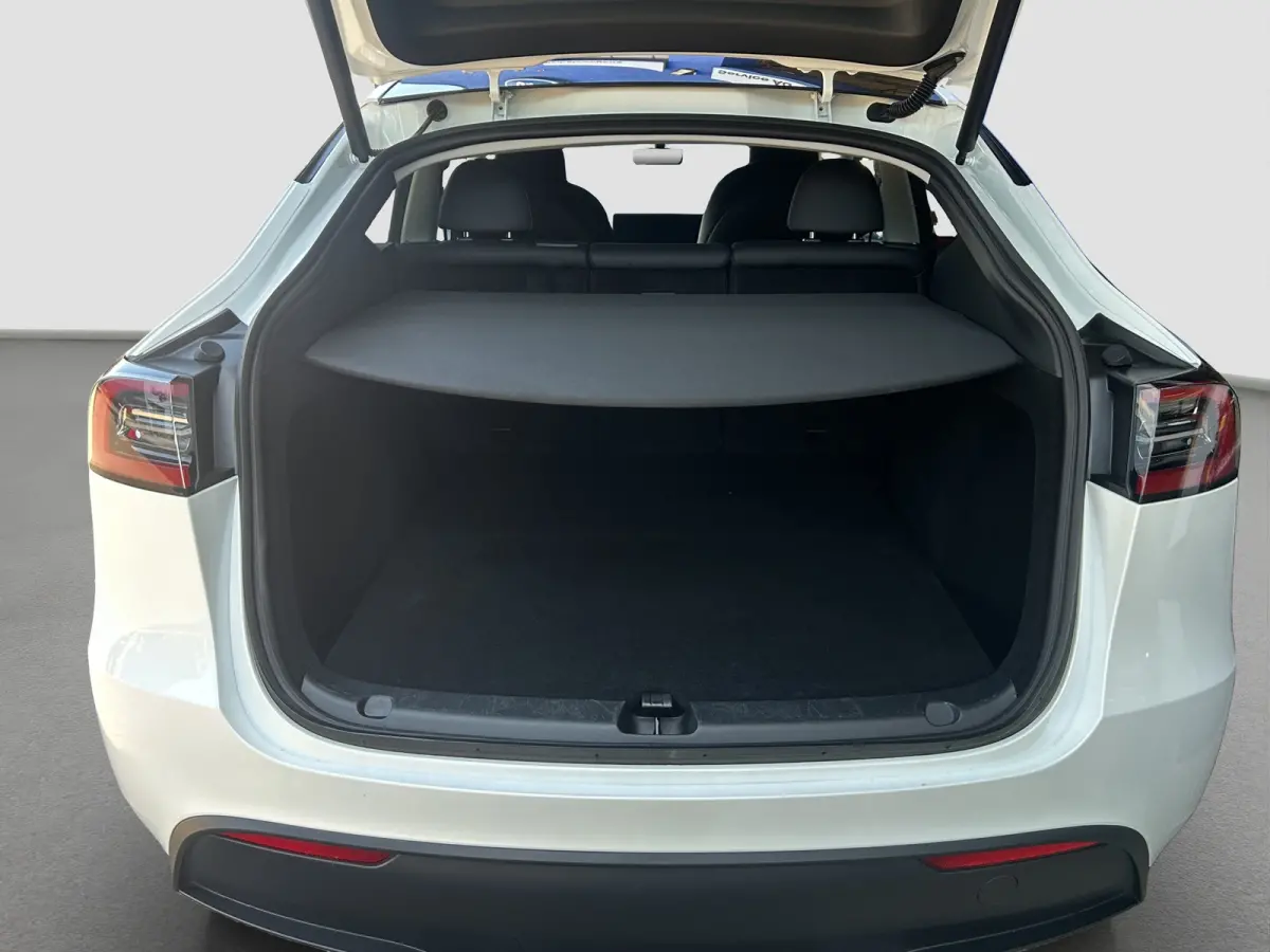 Long Range AWD 75 kWh | Org. NL | Auto Pilot | 1e eig. | Camera | Stoelverwarming |