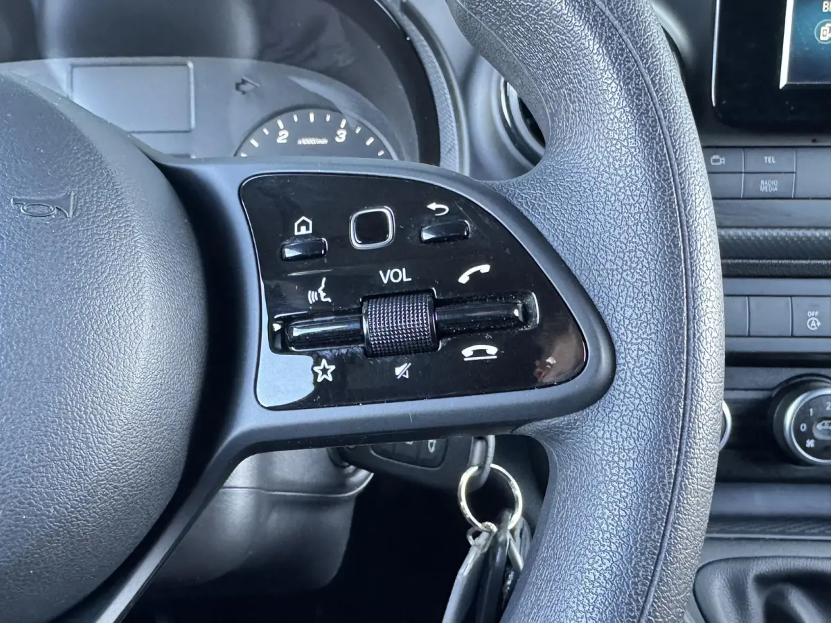 110 CDI L1 PRO I CRUISE CONTROL I P-CAMERA I AIRCONDITIONING I ALL-IN PRIJS