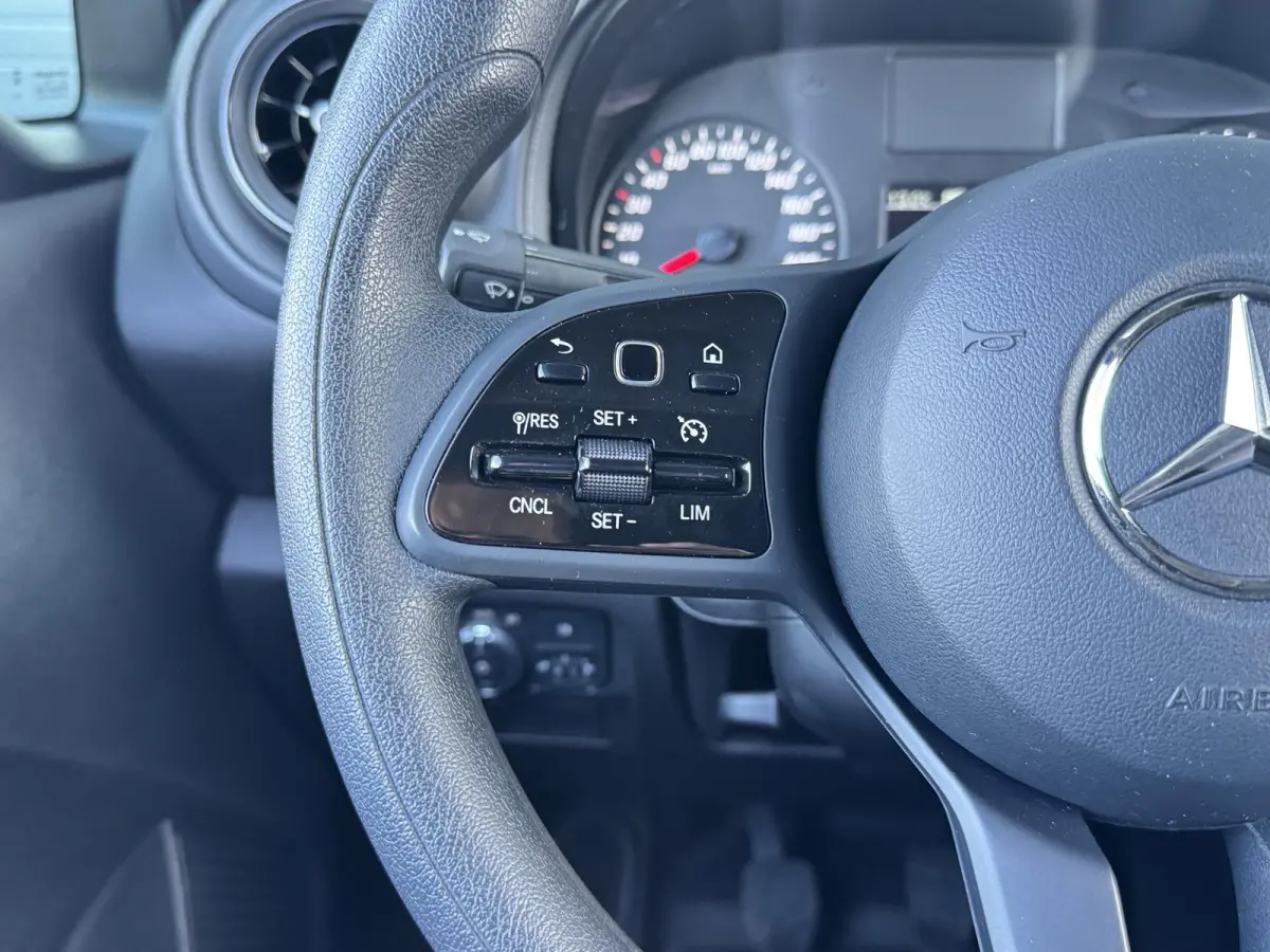110 CDI L1 PRO I CRUISE CONTROL I P-CAMERA I AIRCONDITIONING I ALL-IN PRIJS