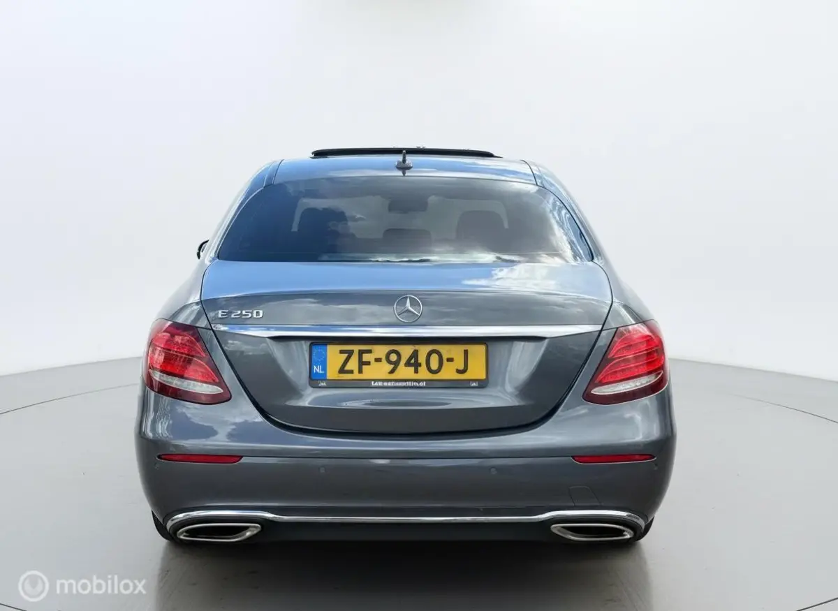 250 E250 Business DAK|SFEER|CAMERA|LED|