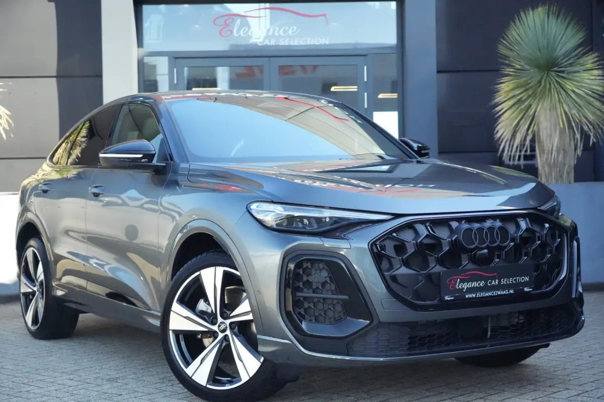 2.0 TFSI e-hybrid quattro S edition 299pk Panoramadak/Stoelverwarming/360camera