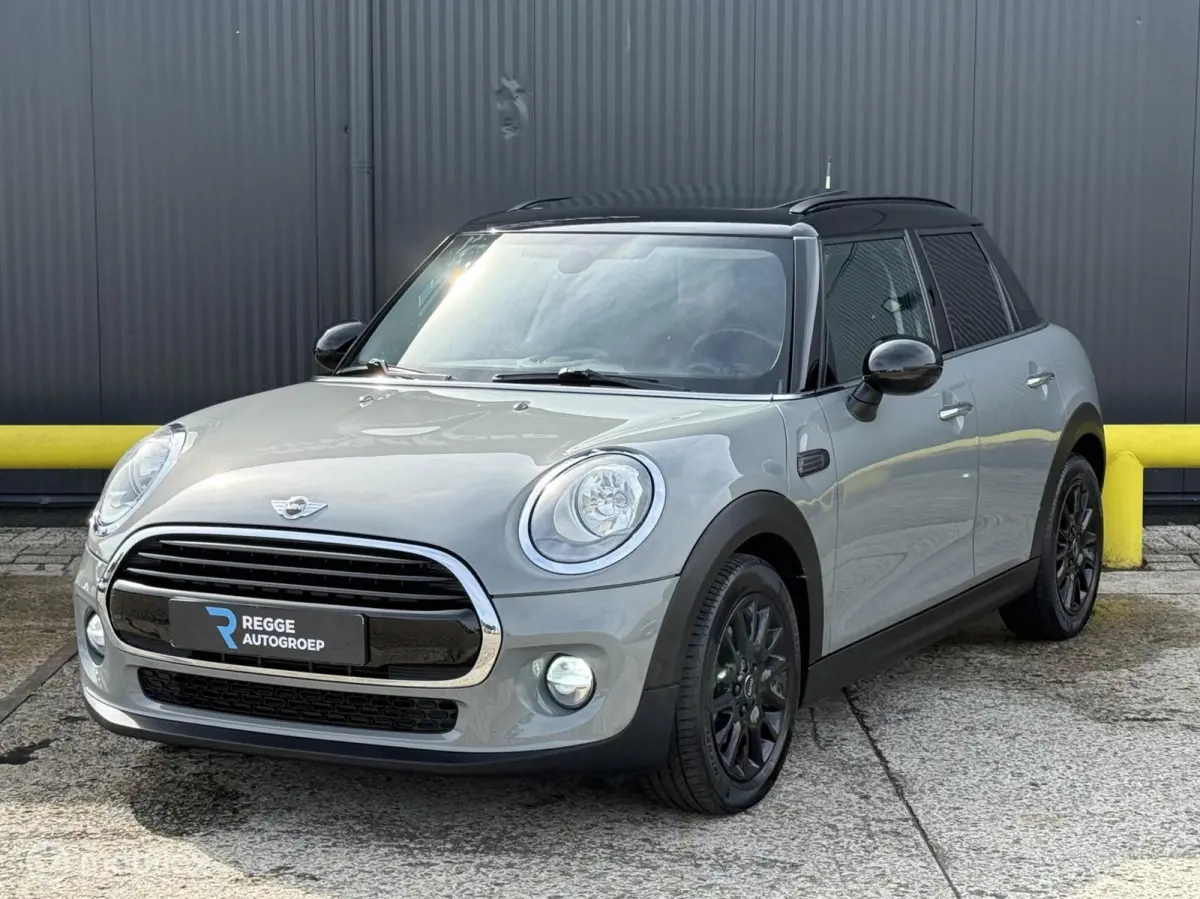 Mini 1.5 Pepper PANORAMADAK | PDC | NARDO GRIJS