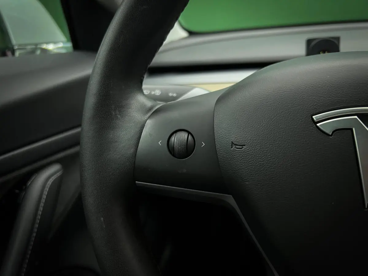 Performance AWD 75 kWh Trekhaak | Marge | NAP