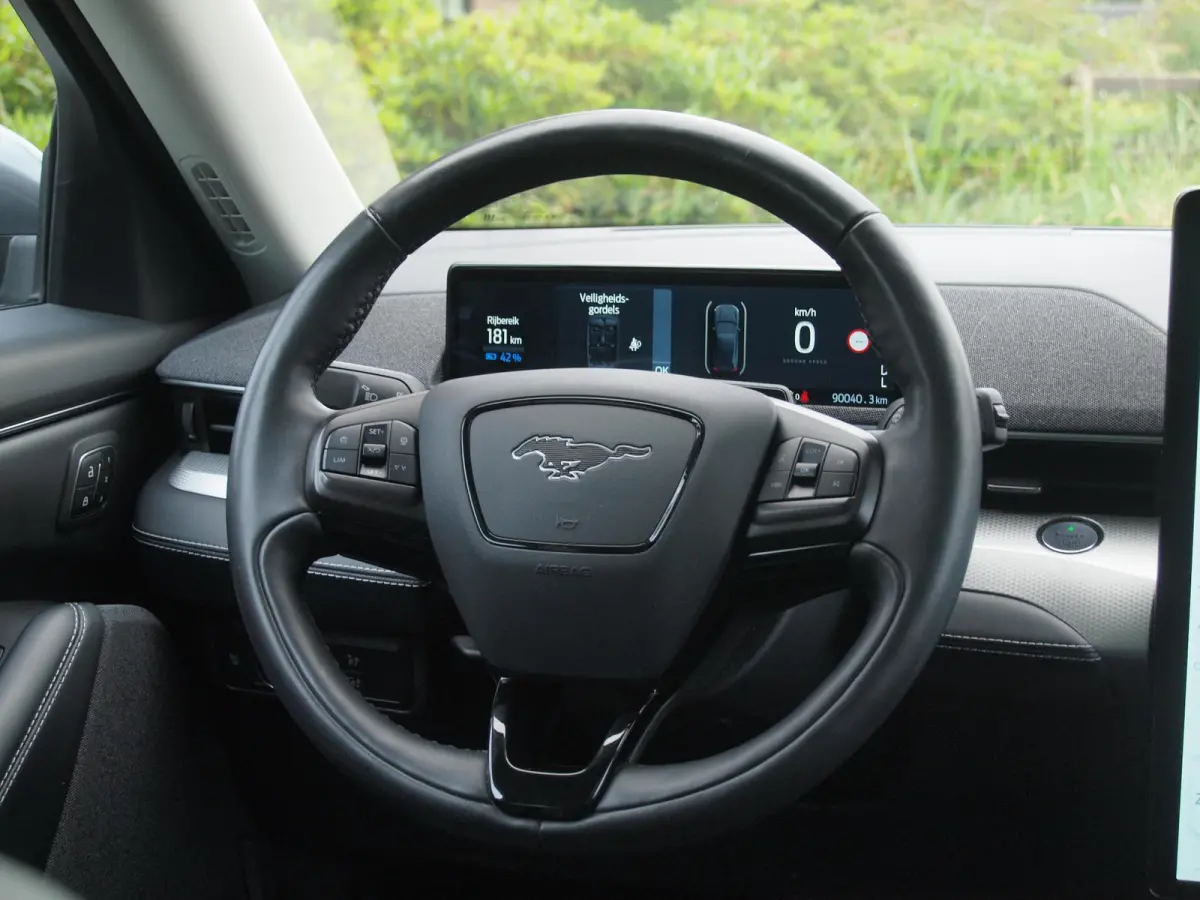 Extended RWD 98 kWh | SOH 94% | 360 Camera | Bang & Olufsen | Stoel Memory | Apple Carplay | Panoramadak |
