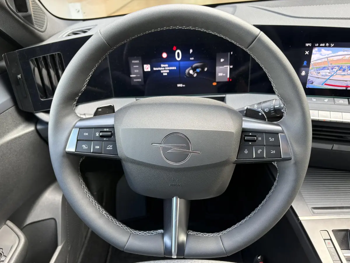 1.2 Turbo Hybrid Business Edition Tot 8 jaar garantie | Apple Carplay/Android Auto