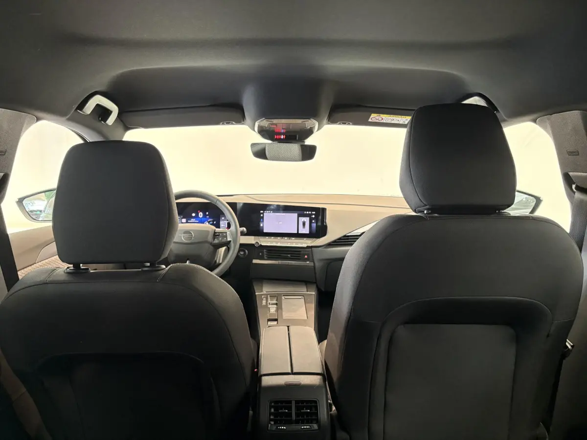 1.2 Turbo Hybrid Business Edition Tot 8 jaar garantie | Apple Carplay/Android Auto