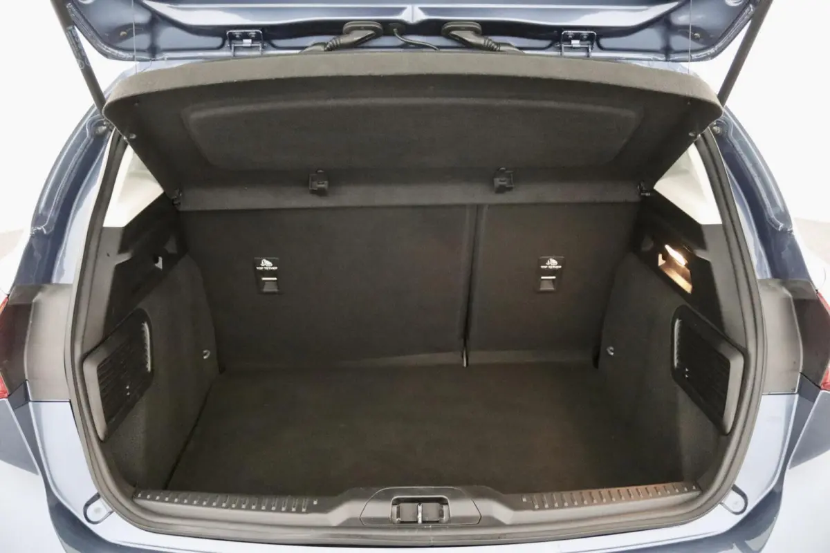 1.0 EcoBoost Hybrid Trend Edition Business blauw
