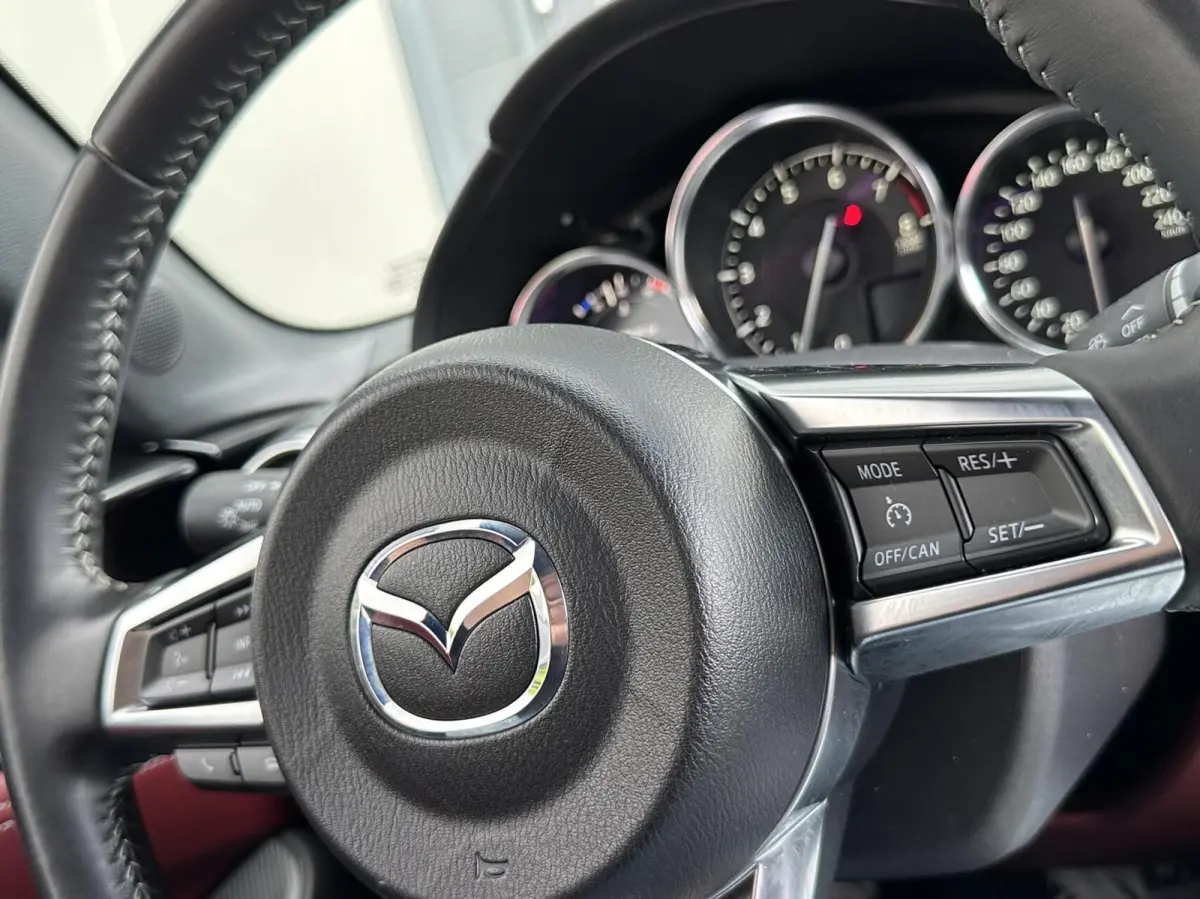 1.5 SkyActiv-G 132 Ginzan Clima Leder Bose NAP