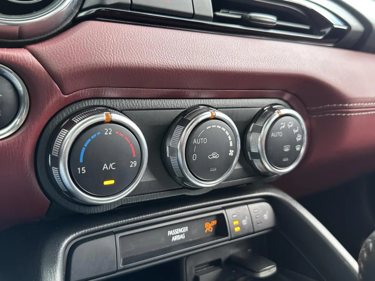1.5 SkyActiv-G 132 Ginzan Clima Leder Bose NAP