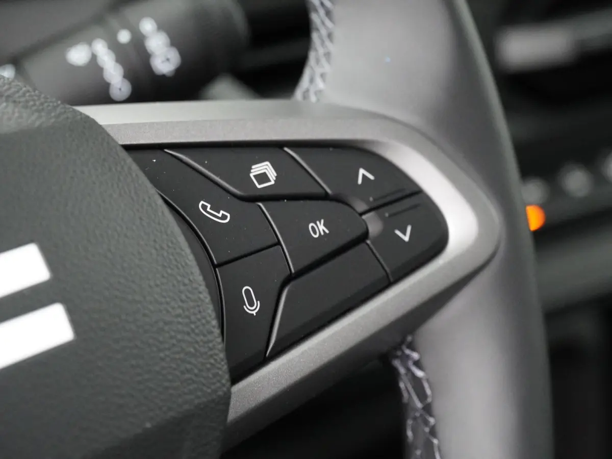 limited edition hybrid 155 | Adapt. Cruise | 360 Camera | Stoel-, Stuur- & Voorruitverw. |