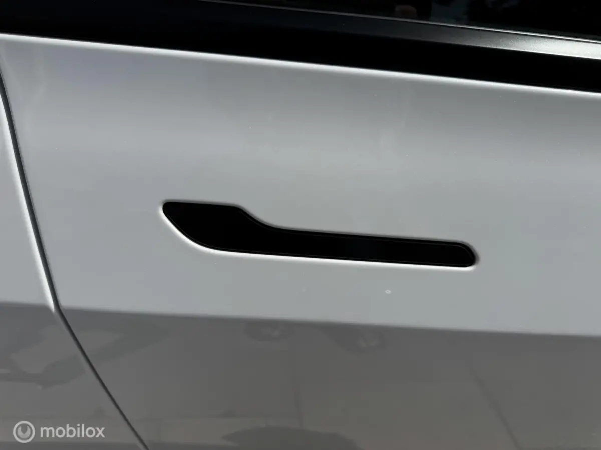 Performance 2021 |Carbon pakket | Autopilot