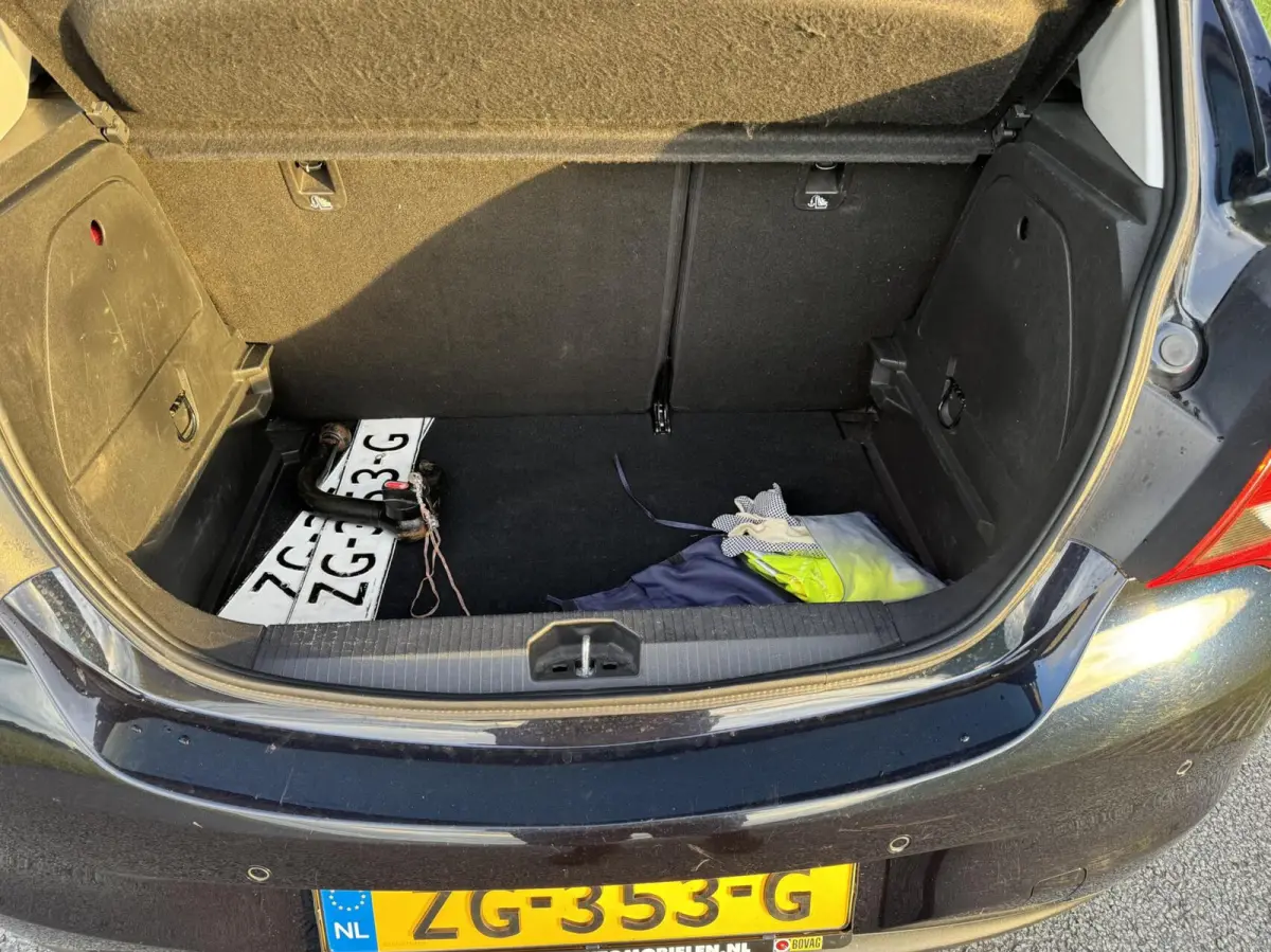 1.0 Turbo 120 Jaar Edition, clima, camera, trekhaak