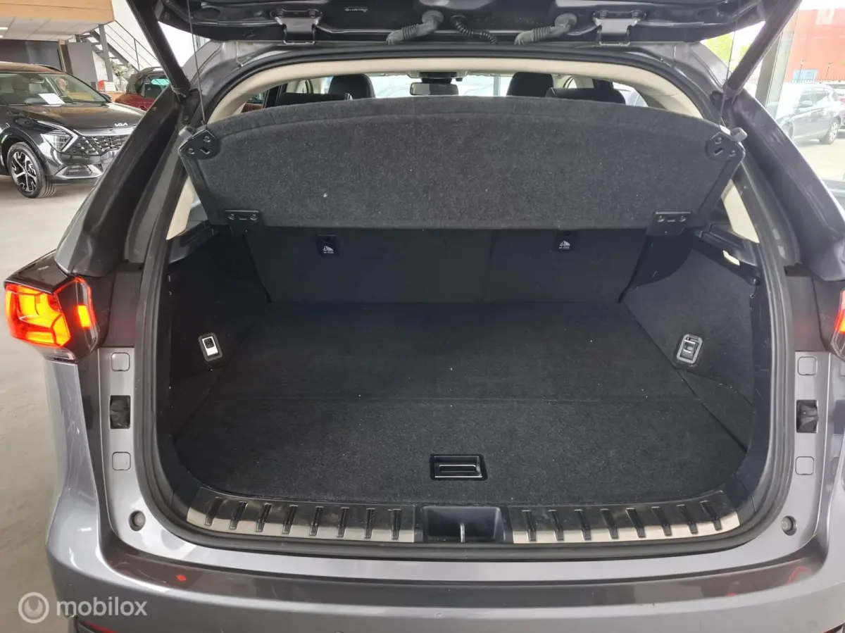 300h AWD Luxury Line | PANO | TREKHAAK - RIJKLAARPRIJS