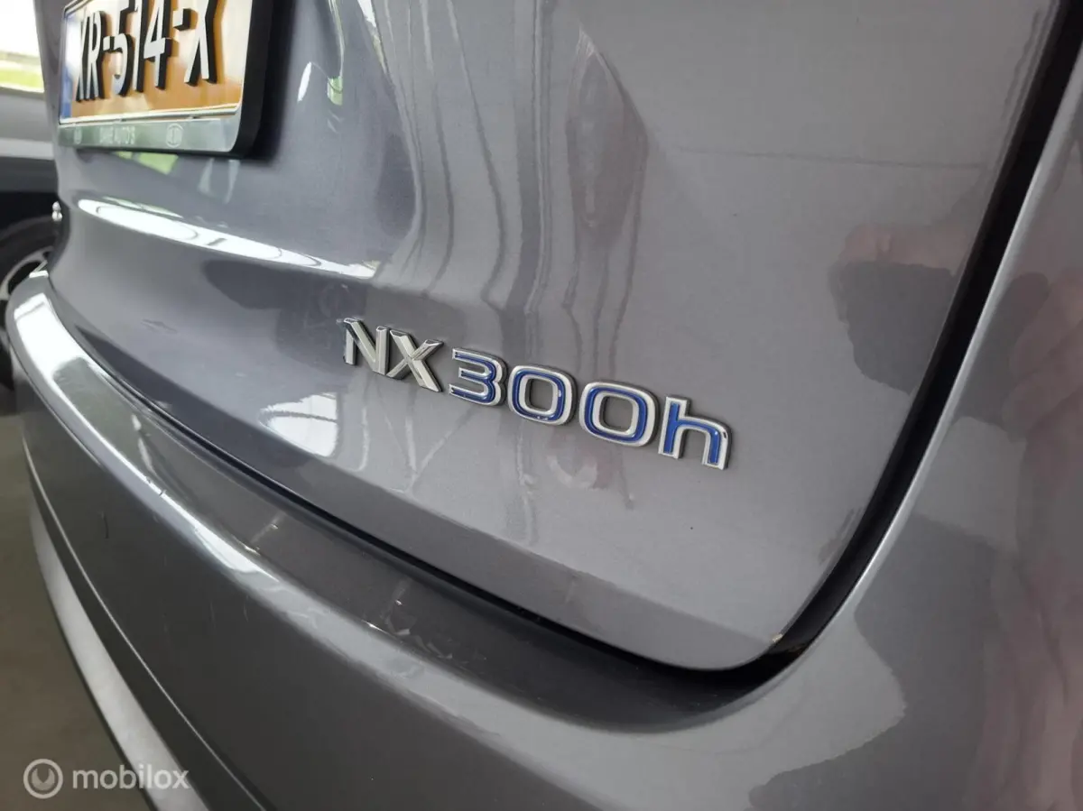 300h AWD Luxury Line | PANO | TREKHAAK - RIJKLAARPRIJS