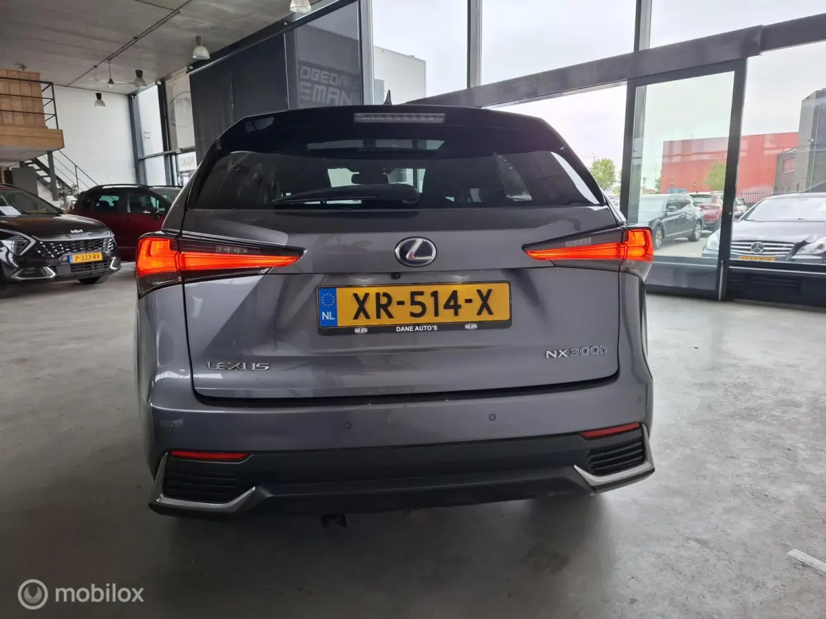300h AWD Luxury Line | PANO | TREKHAAK - RIJKLAARPRIJS