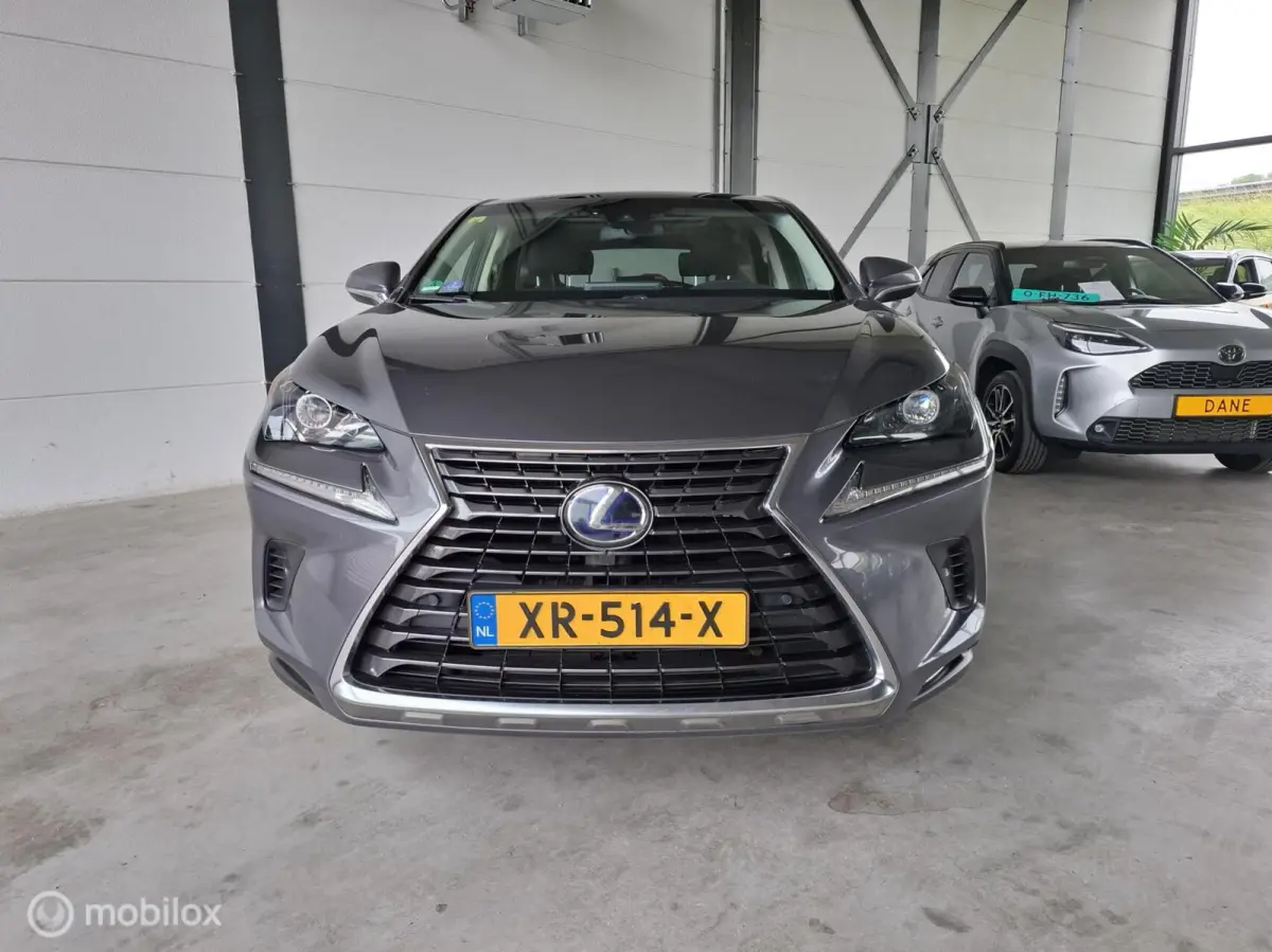 300h AWD Luxury Line | PANO | TREKHAAK - RIJKLAARPRIJS