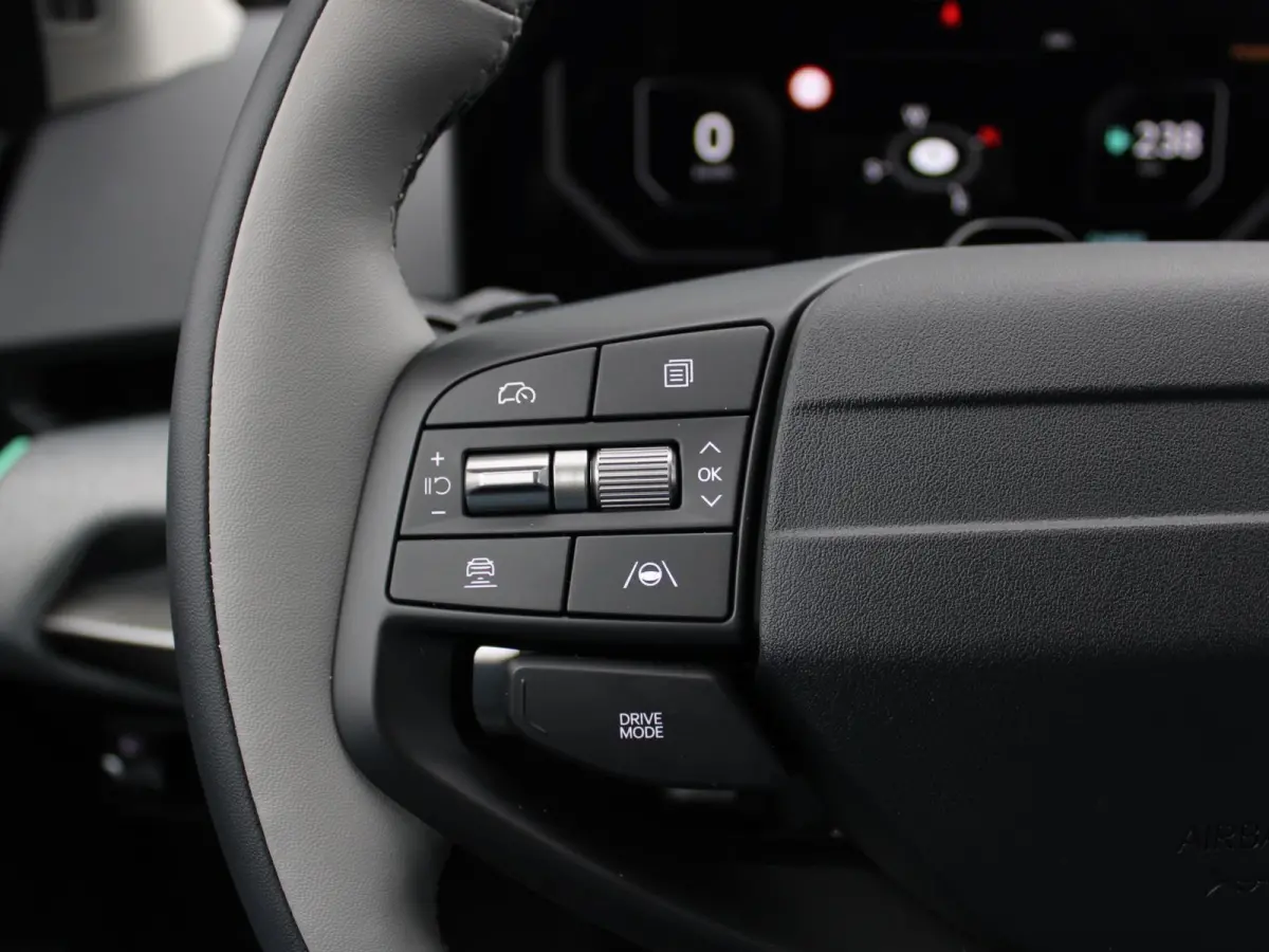Plus Advanced 58.3 kWh | DIRECT LEVERBAAR | Panodak | Navi. | Clima. | Adapt. Cruise. | Stoel&Stuur Verwarming | Dodehoekassistentie | Harman Kardon